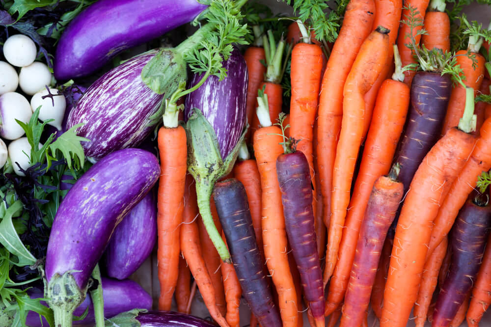 Close-up shot of carrots & eggplants picked from "The Farm" at Chatham Bars Inn